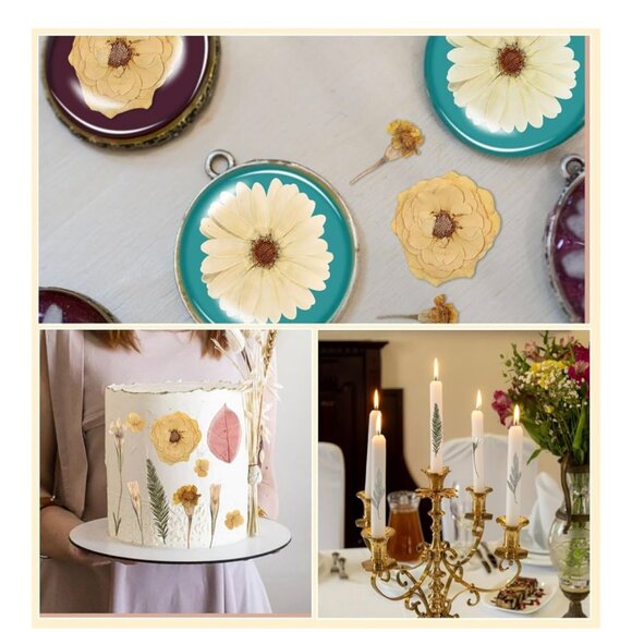 Dried Pressed Wildflowers for Crafts (4 Packs) with Tweezers NEW (SKU:203MI) - Picture 9 of 11